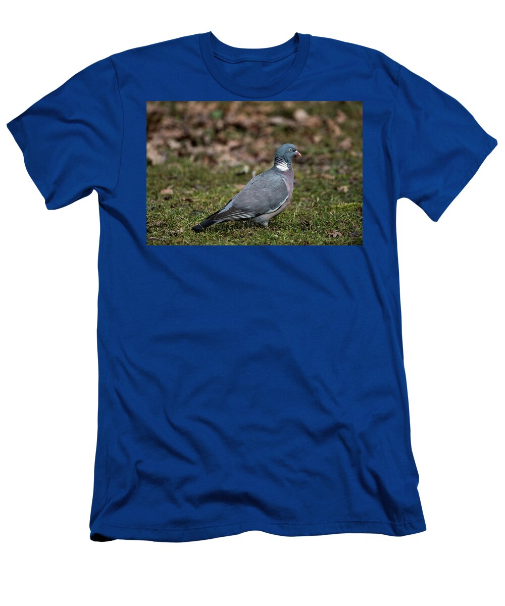 Common Wood Pigeon T-Shirt featuring the photograph Common Wood Pigeon's profile by Torbjorn Swenelius