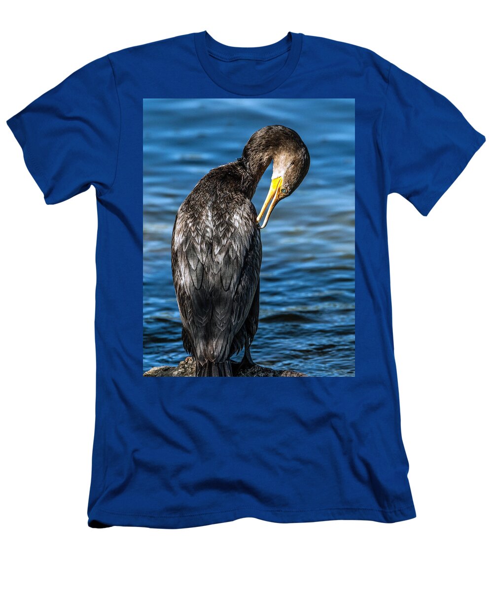 Cormorant T-Shirt featuring the photograph Cormorant Grooming by Tam Ryan