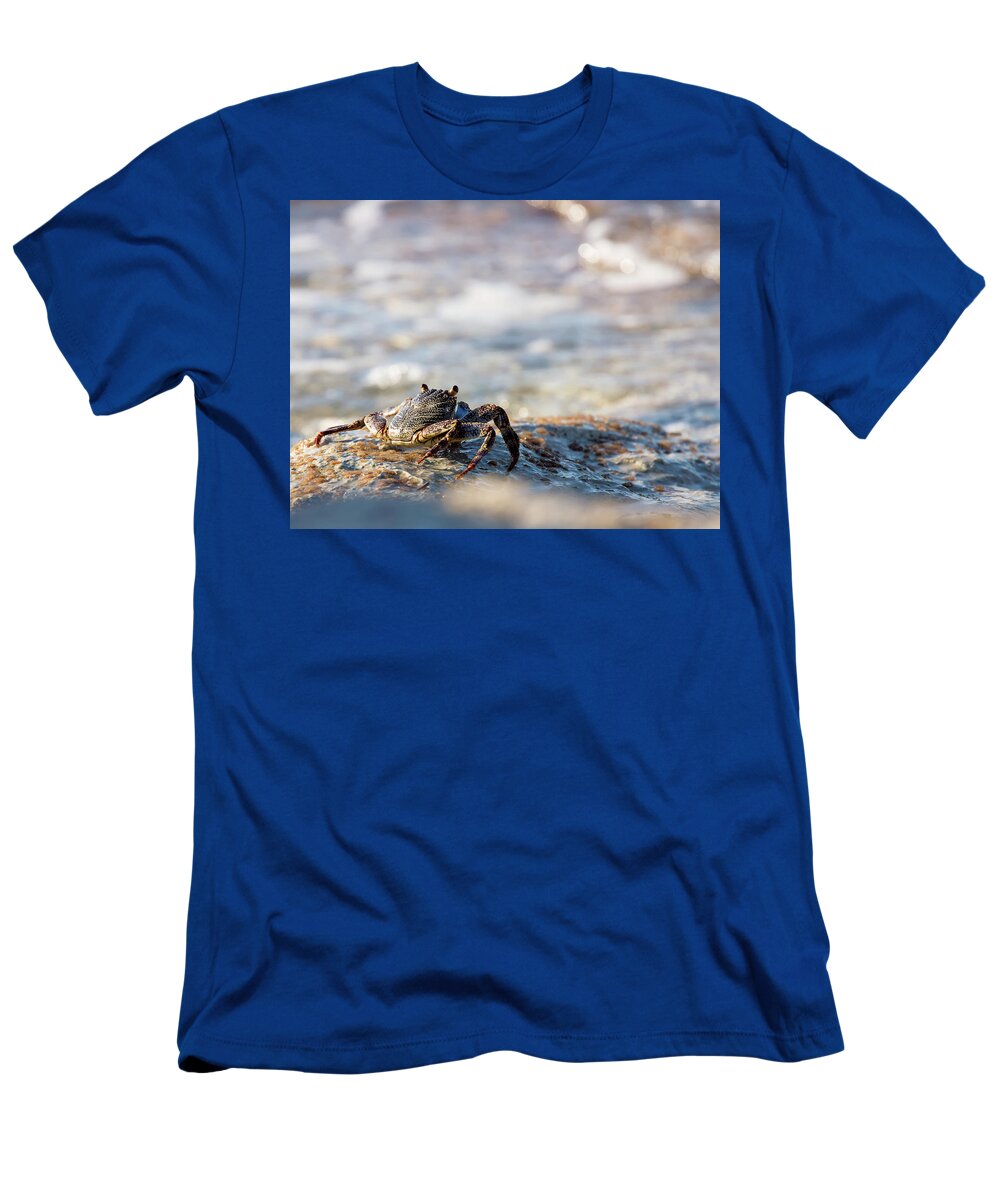 Crab T-Shirt featuring the photograph Crab Looking for Food by David Buhler