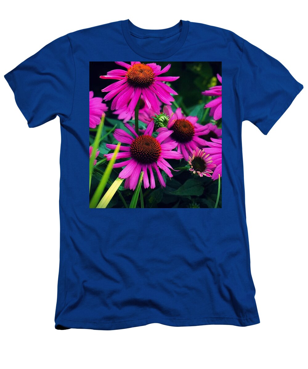  T-Shirt featuring the photograph Crazy for Coneflowers by Kendall McKernon