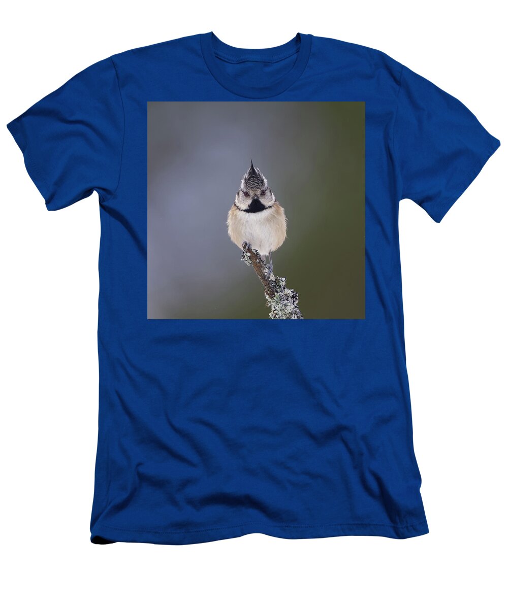 Crested T-Shirt featuring the photograph Crested Tit by Pete Walkden