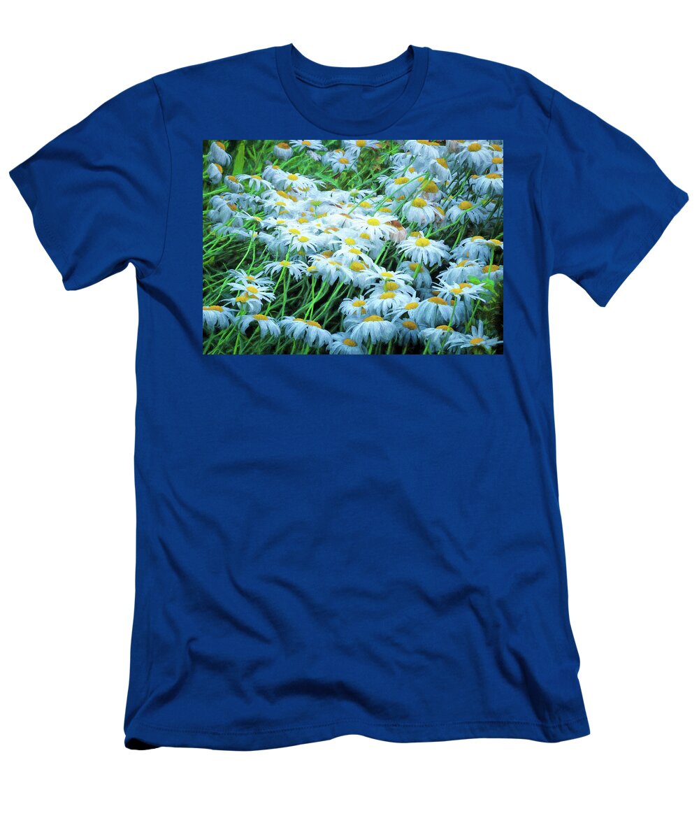 Hayward Garden Putney Vermont T-Shirt featuring the photograph Daisies Galore by Tom Singleton