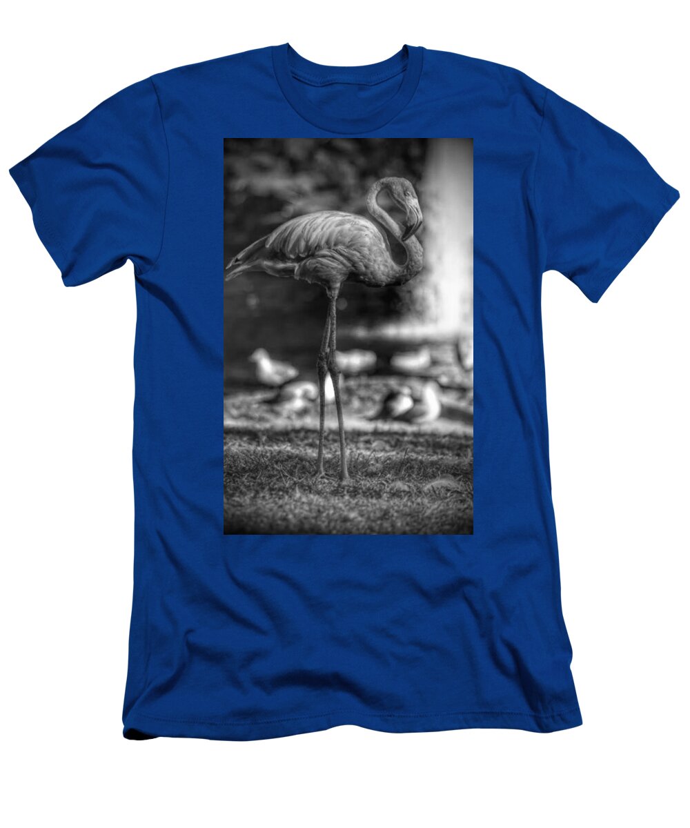 Flamingo T-Shirt featuring the photograph Dark Side of the Pond by Stoney Lawrentz