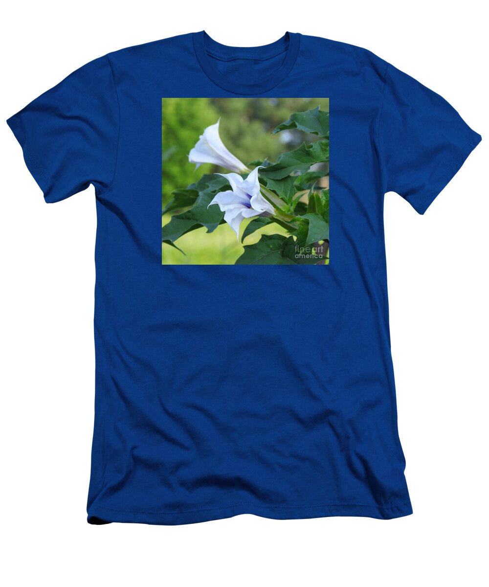 Flower T-Shirt featuring the photograph Delicate Morning Bloom by Anita Adams
