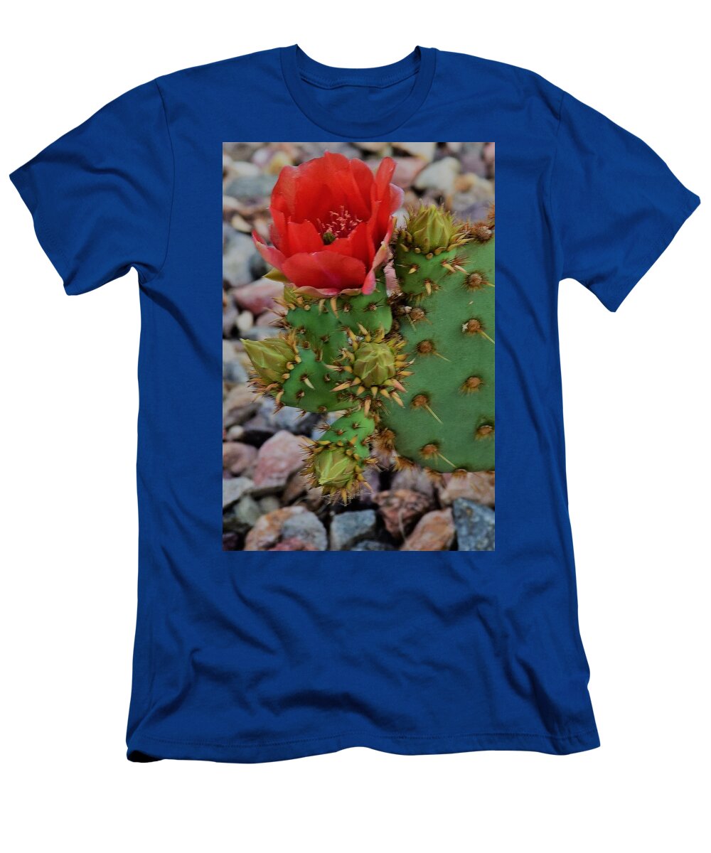 Desert T-Shirt featuring the photograph Desert Beauty by John Glass