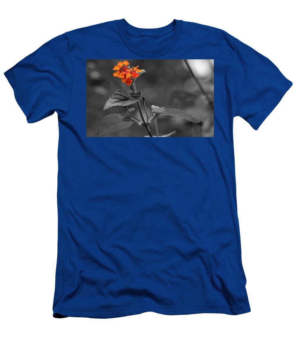 Art T-Shirt featuring the photograph Detailed Leaf by Bradley Dever
