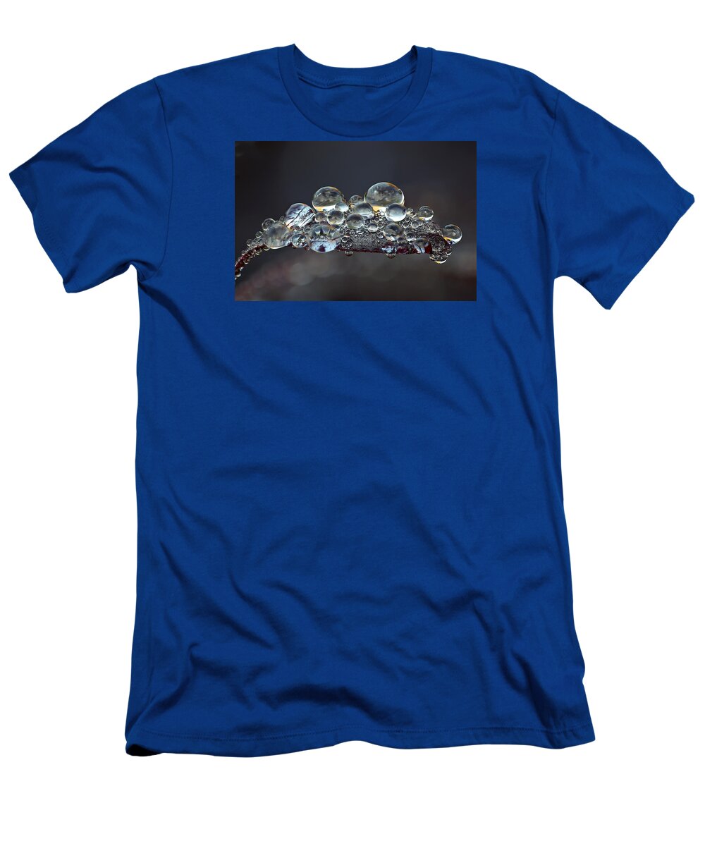 Jogchum Reitsma T-Shirt featuring the photograph Landcape Captured in Dew on Smoketree Leaf by Jogchum Reitsma