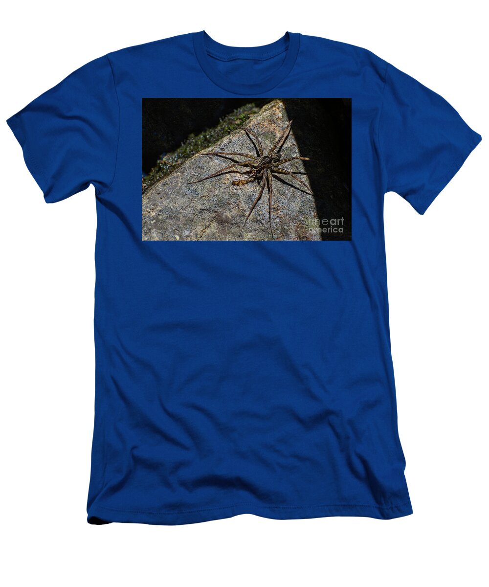 Spiny T-Shirt featuring the photograph Dock Spider by Les Palenik