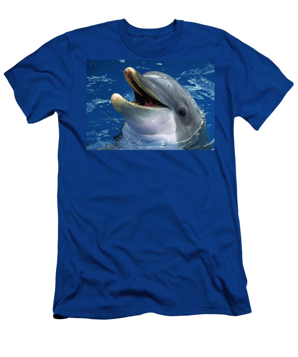 Dolphin T-Shirt featuring the photograph Dolphin by Gary Corbett