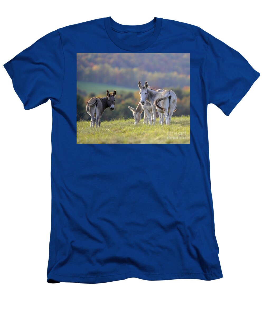 Donkeys T-Shirt featuring the photograph Donkeys #415 by Carien Schippers