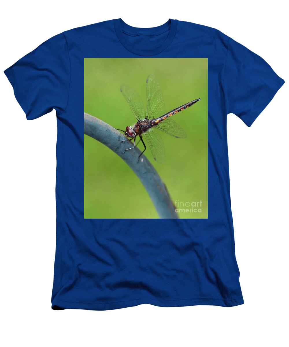 Dragonfly T-Shirt featuring the photograph Dragonfly Visitor by Cindy Manero