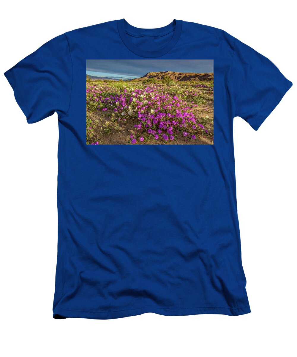 Anza-borrego Desert T-Shirt featuring the photograph Early Morning Light Super Bloom by Peter Tellone