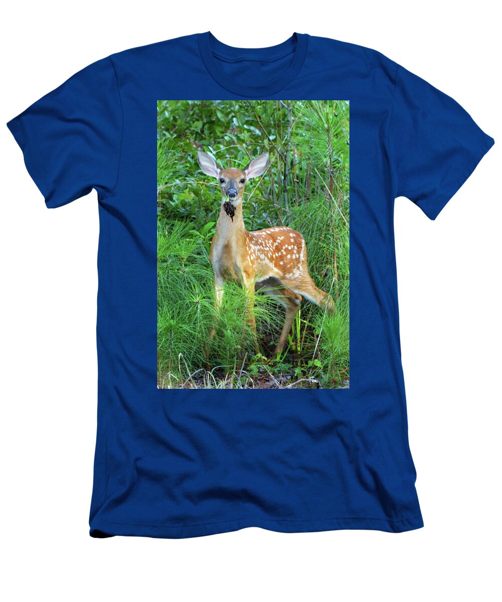 Deer T-Shirt featuring the photograph Eating by Jerry Griffin