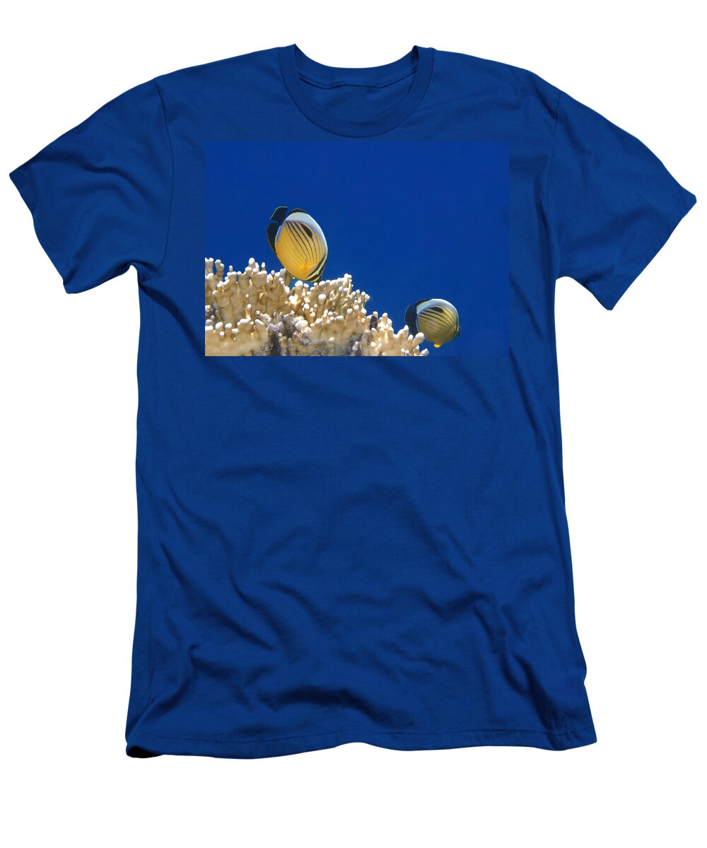 Sea T-Shirt featuring the photograph Exquisite Butterflyfish and Corals 3 by Johanna Hurmerinta