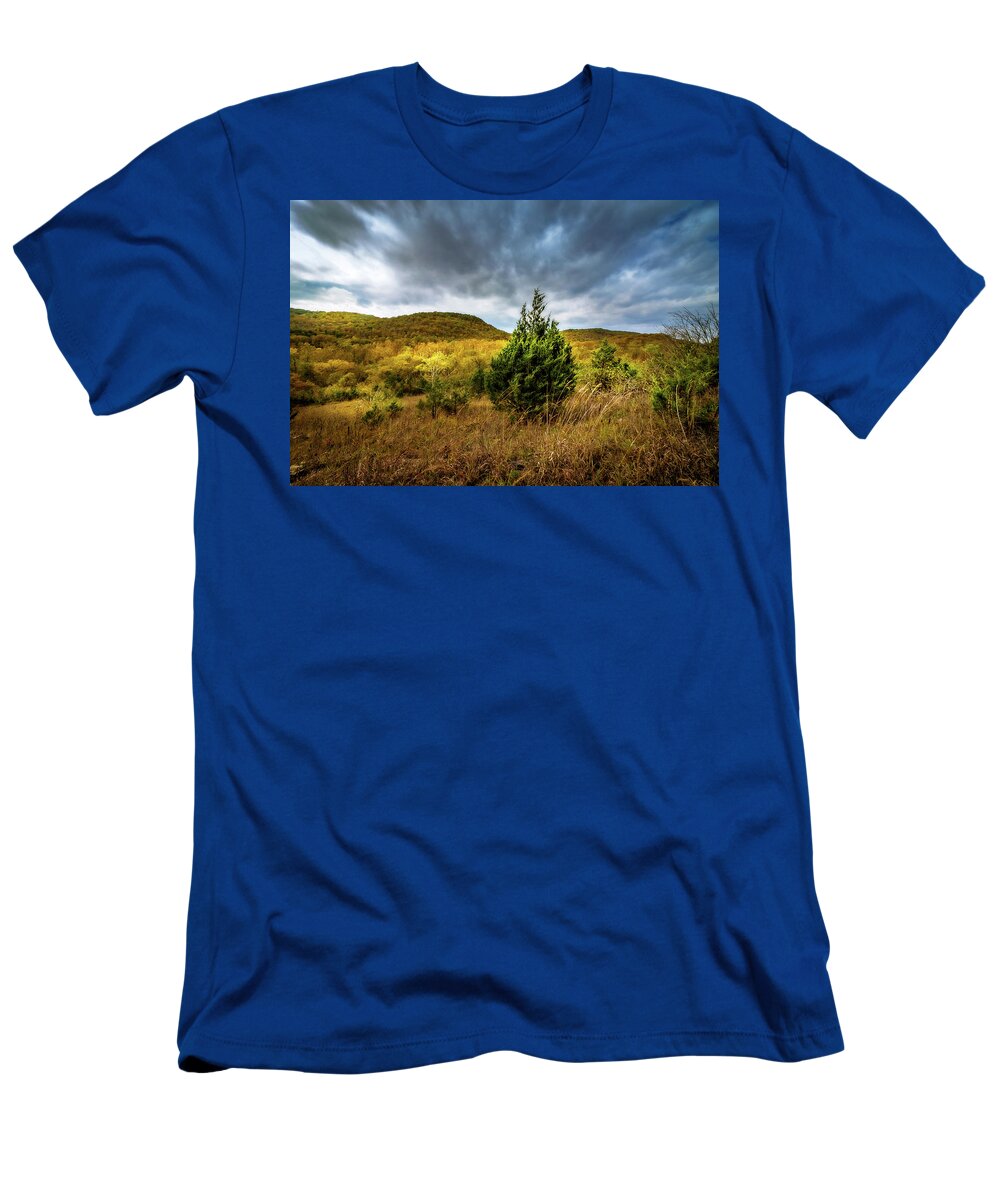Fall T-Shirt featuring the photograph Fall in the Ozarks by Allin Sorenson