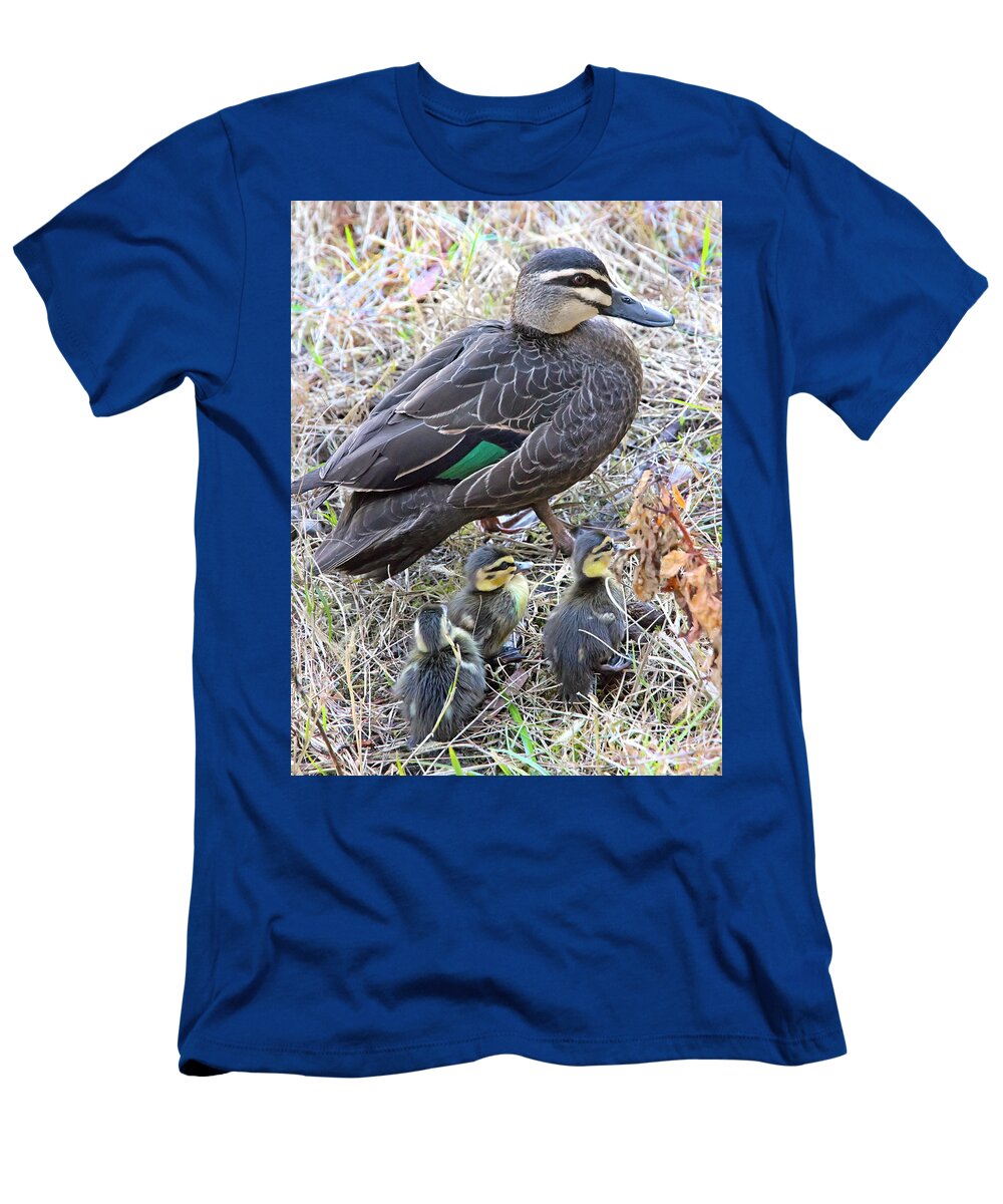 Pacific Black Duck T-Shirt featuring the photograph Family On The Move by Miroslava Jurcik
