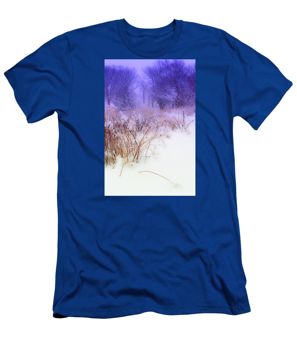 Winter Weeds T-Shirt featuring the digital art Feel of Cold Land by Judith Barath