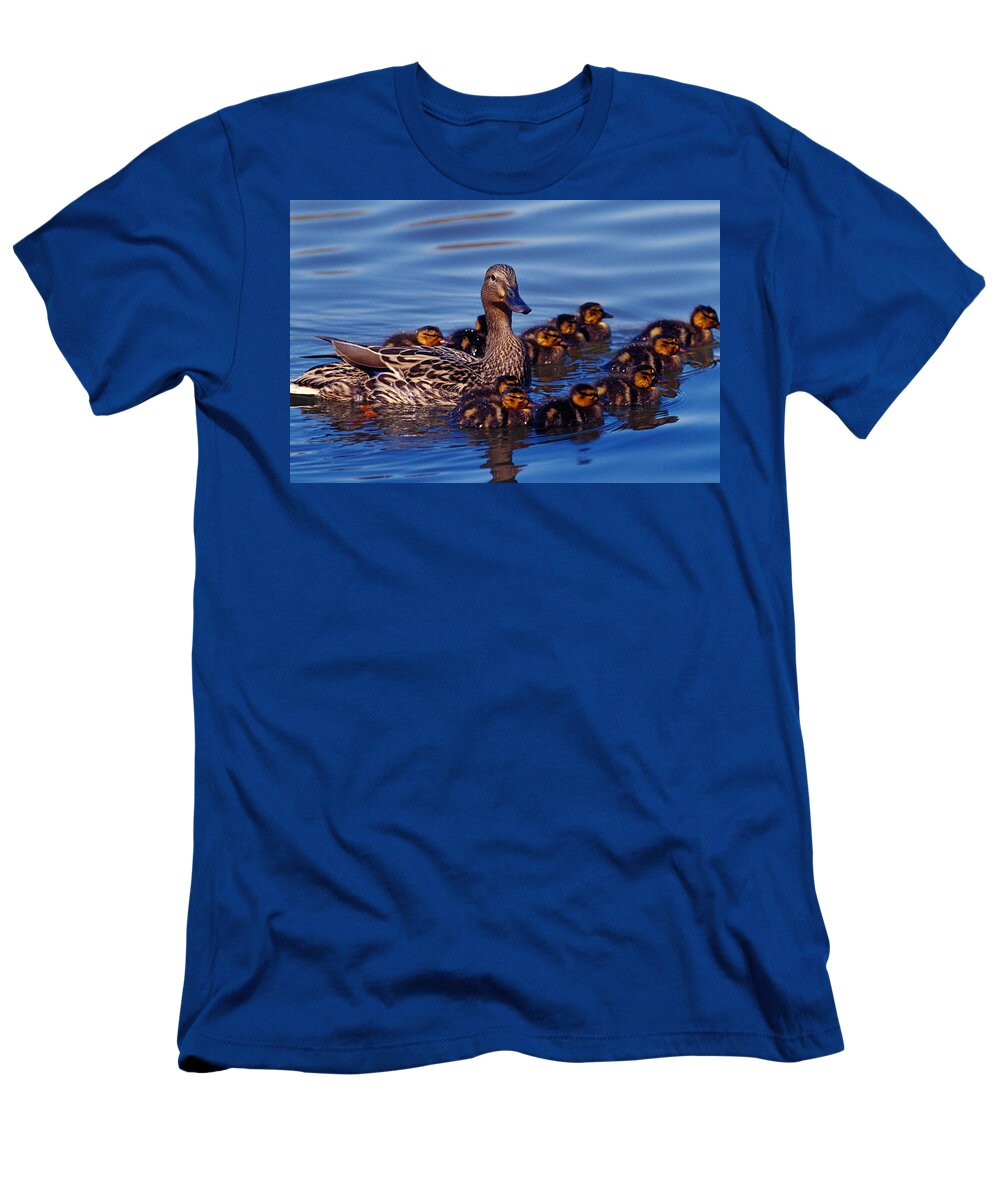 Photography T-Shirt featuring the photograph Female Mallard Duck With Chicks by Panoramic Images