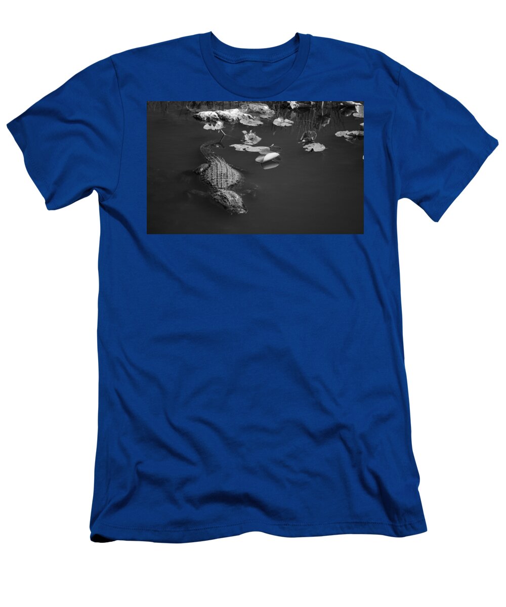 Jason Moynihan T-Shirt featuring the photograph Florida Gator by Jason Moynihan
