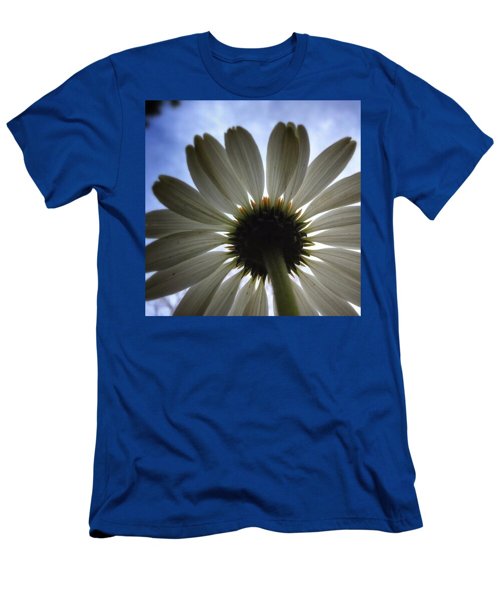 Scoobydrew81 Andrew Rhine Nature Flower Art Sky Up Bottom View Petals Close-up Blue White Clouds Sun Light Stem Floral Flora Botanical Botany Stunning T-Shirt featuring the photograph Flower butt by Andrew Rhine