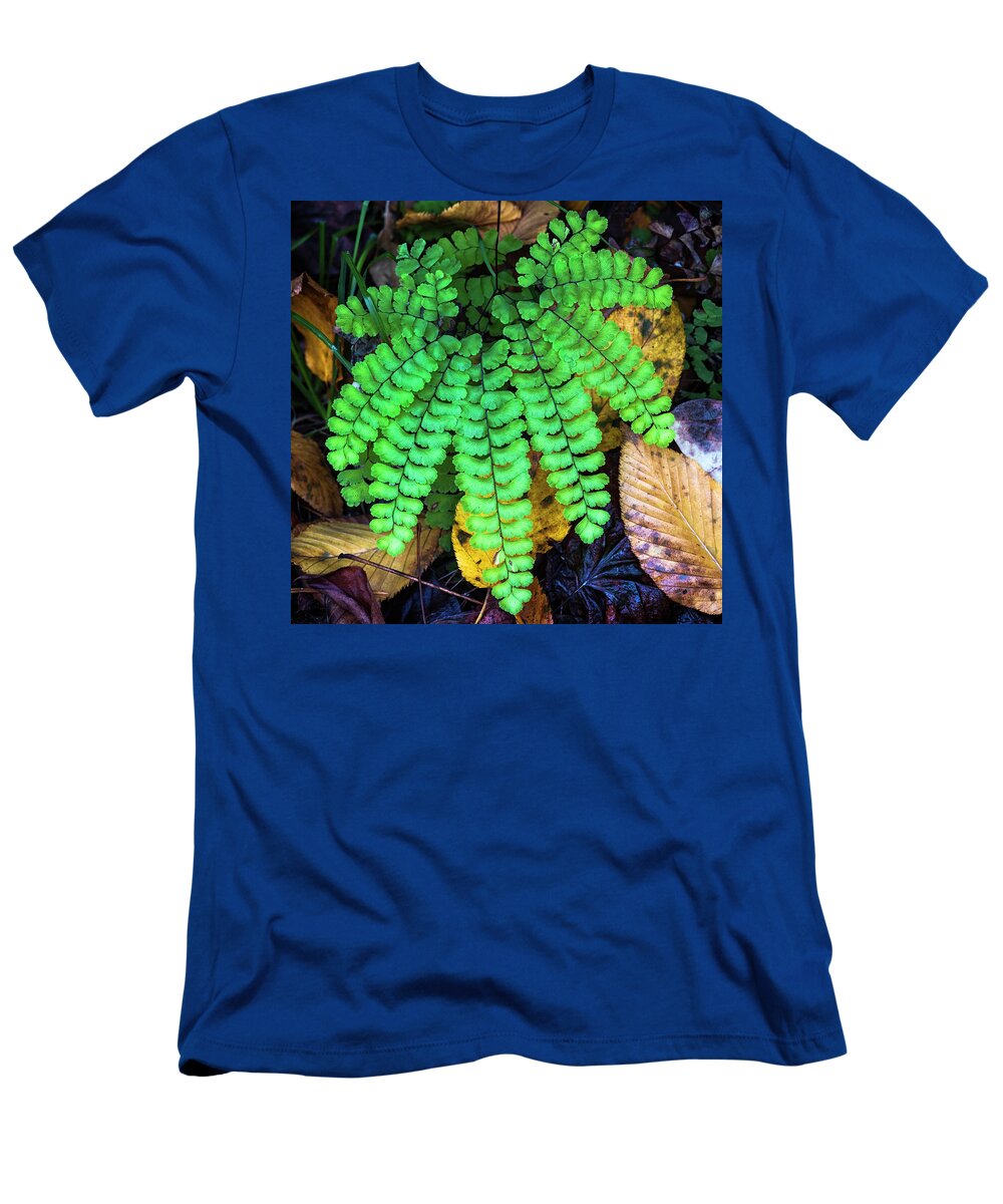 Fern T-Shirt featuring the photograph Forest Fern by Norman Reid