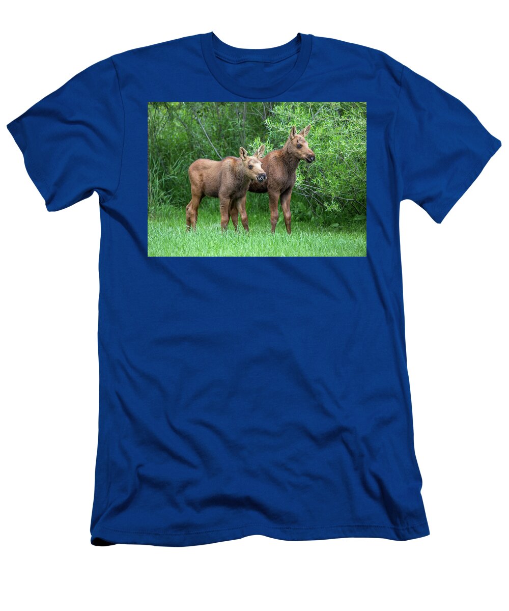 Moose T-Shirt featuring the photograph Future King by Kevin Dietrich