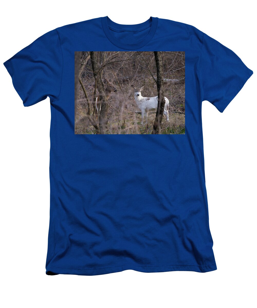 Animals T-Shirt featuring the photograph Genetic Mutant Deer by Paul Ross