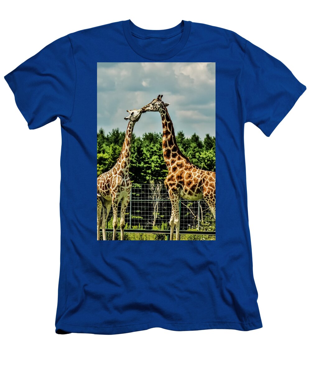 Giraffe T-Shirt featuring the photograph Giraffes Necking by Karl Anderson