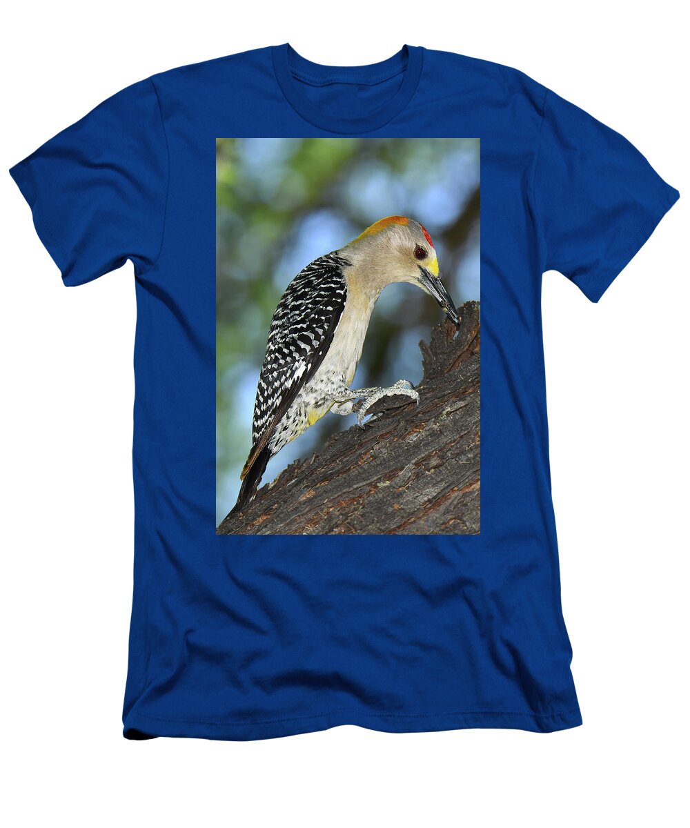 Bird T-Shirt featuring the photograph Golden-fronted Woodpecker by Alan Lenk