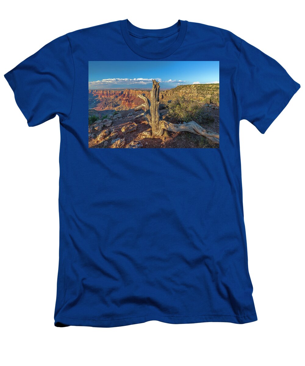 Grand Canyon T-Shirt featuring the photograph Grand Canyon Old Tree by Steven Sparks