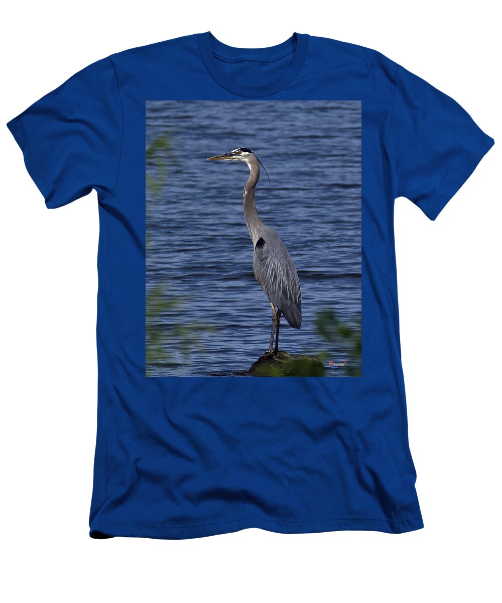 Marsh T-Shirt featuring the photograph Great Blue Heron DMSB0001 by Gerry Gantt