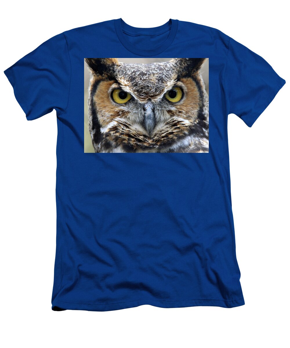 Great Horned Owl T-Shirt featuring the photograph Great Horned Owl Smithtown New York by Bob Savage