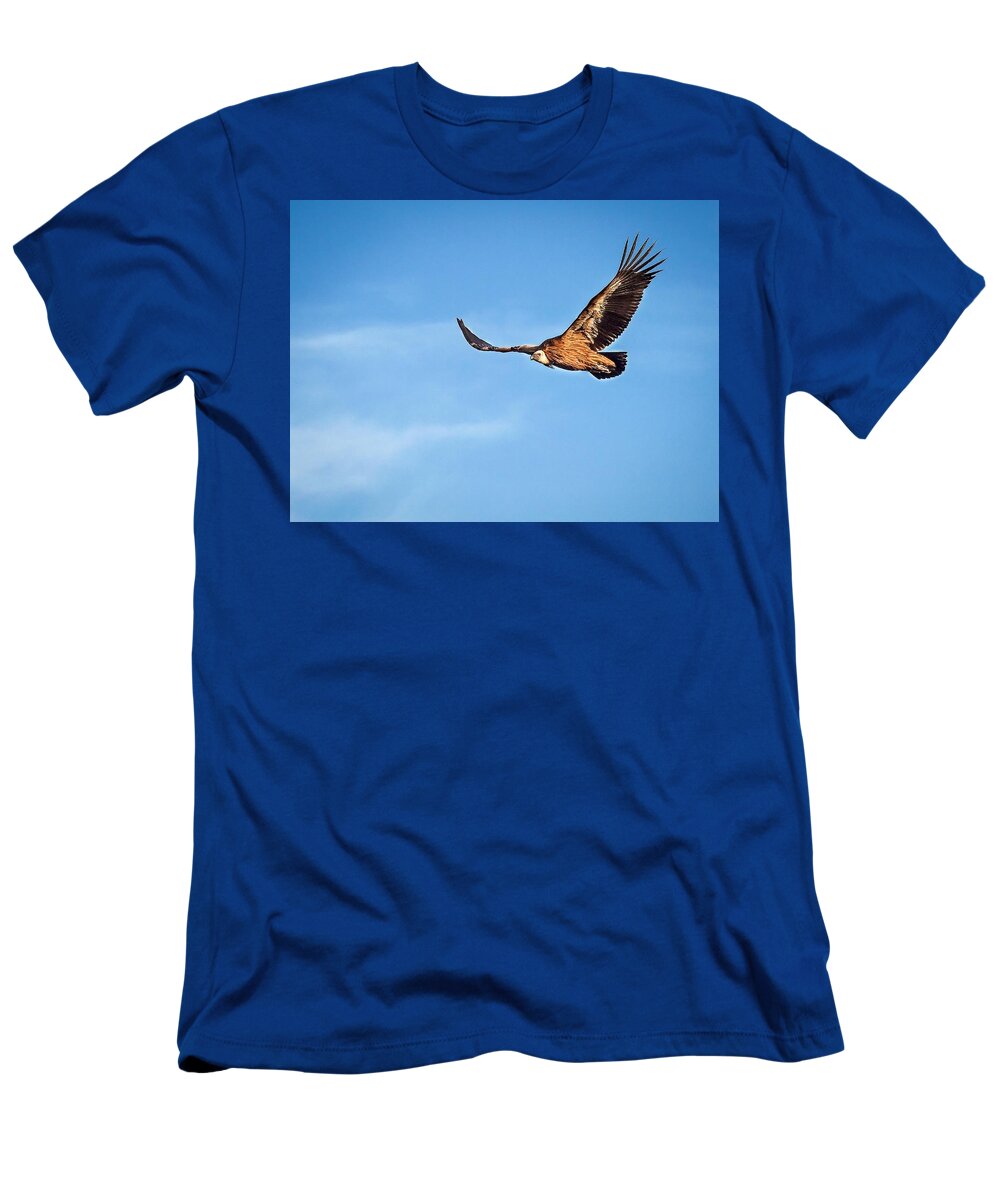 Griffon Vulture T-Shirt featuring the photograph Griffon Vulture by Meir Ezrachi