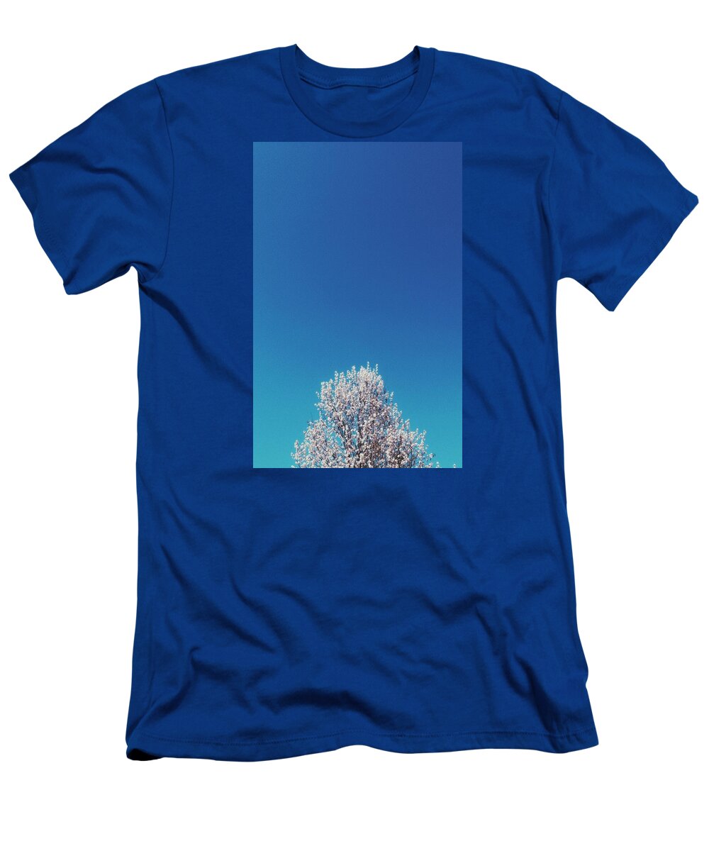 Nature T-Shirt featuring the photograph Hail Spring by Ashley Hudson