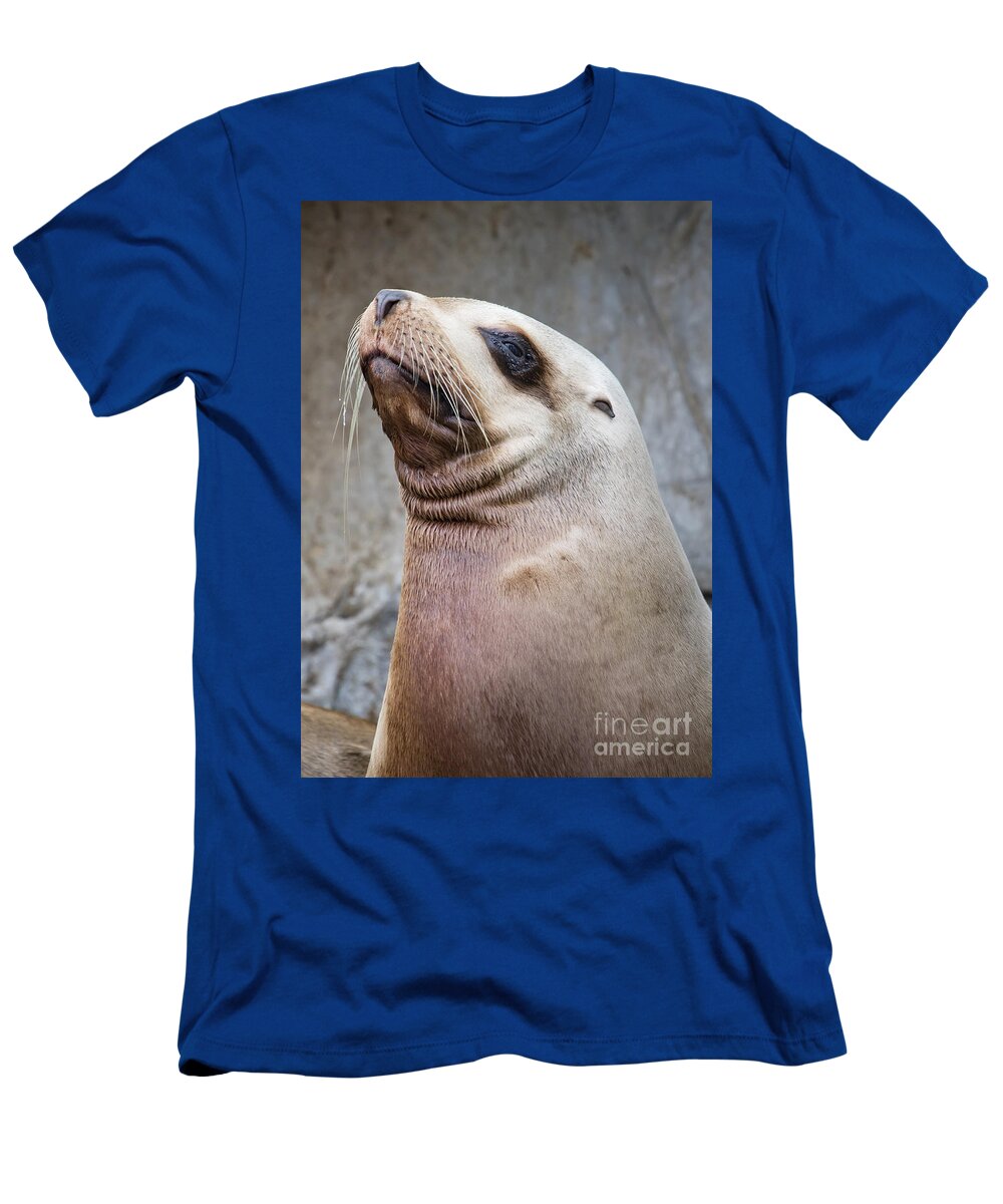 Sea Lion T-Shirt featuring the photograph Handsome Sea Lion by Chris Dutton