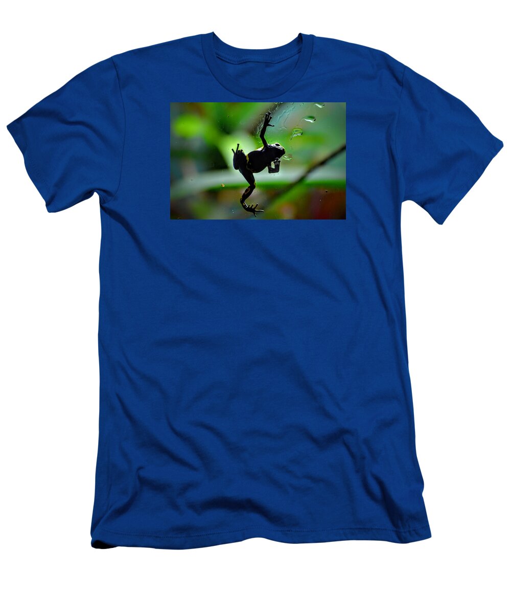 Frog T-Shirt featuring the photograph Hang in There by Michael Brungardt