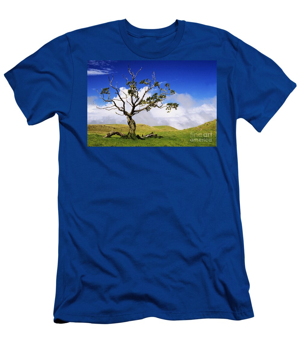 Ali O Neal T-Shirt featuring the photograph Hawaii Koa Tree by Ali ONeal - Printscapes