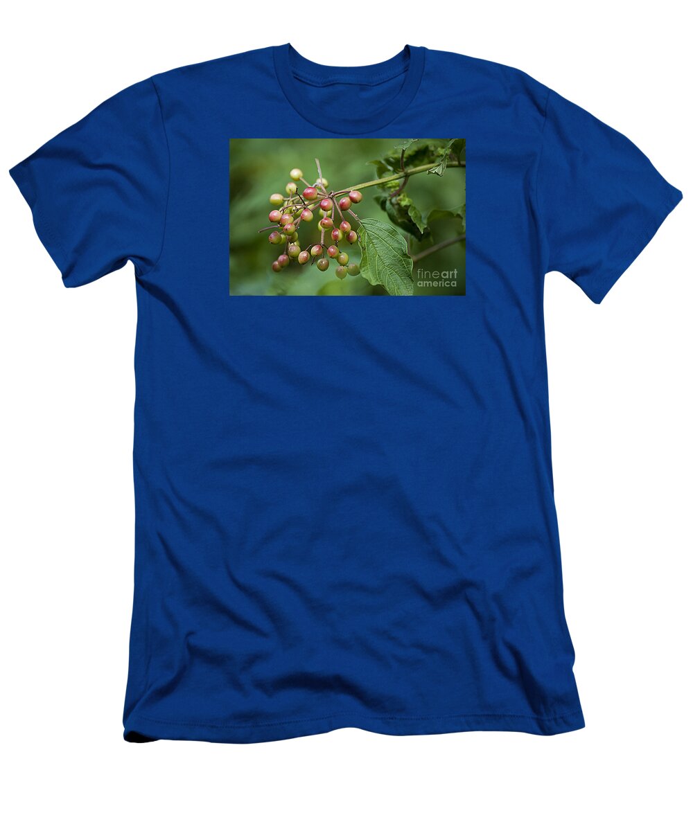 High Bush T-Shirt featuring the photograph High Bush Cranberry 20120703_106a by Tina Hopkins