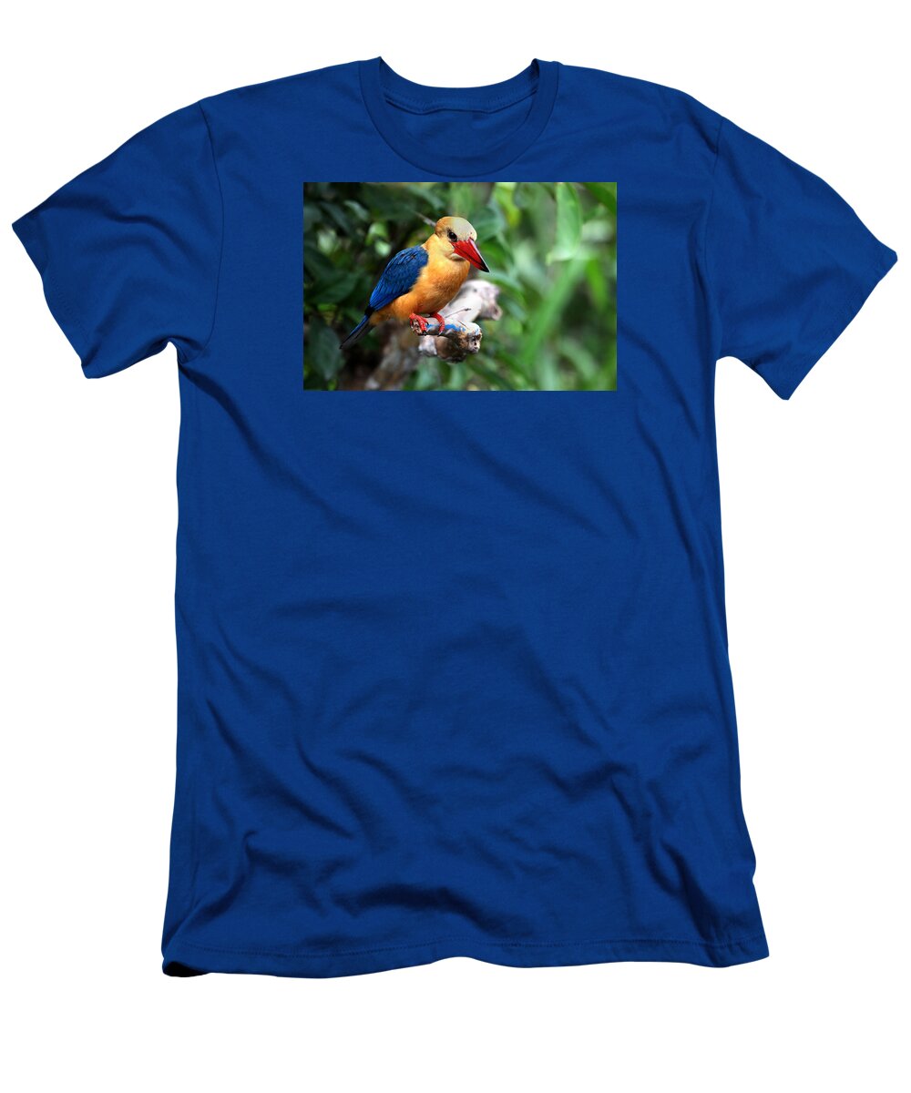  T-Shirt featuring the photograph Stork-billed Kingfisher by Darcy Dietrich