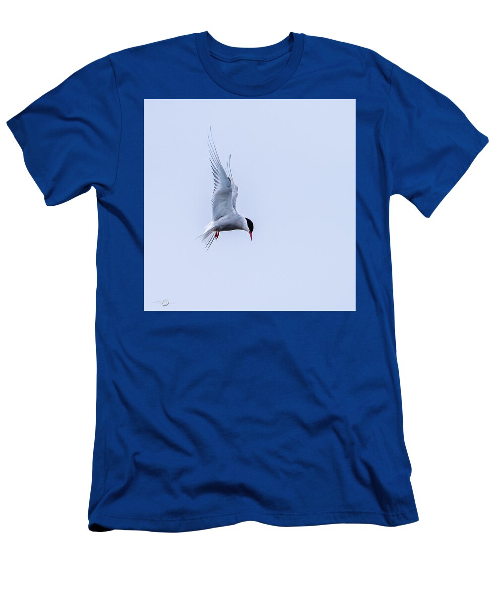 Hovering Arctric Tern T-Shirt featuring the photograph Hovering Arctic Tern by Torbjorn Swenelius