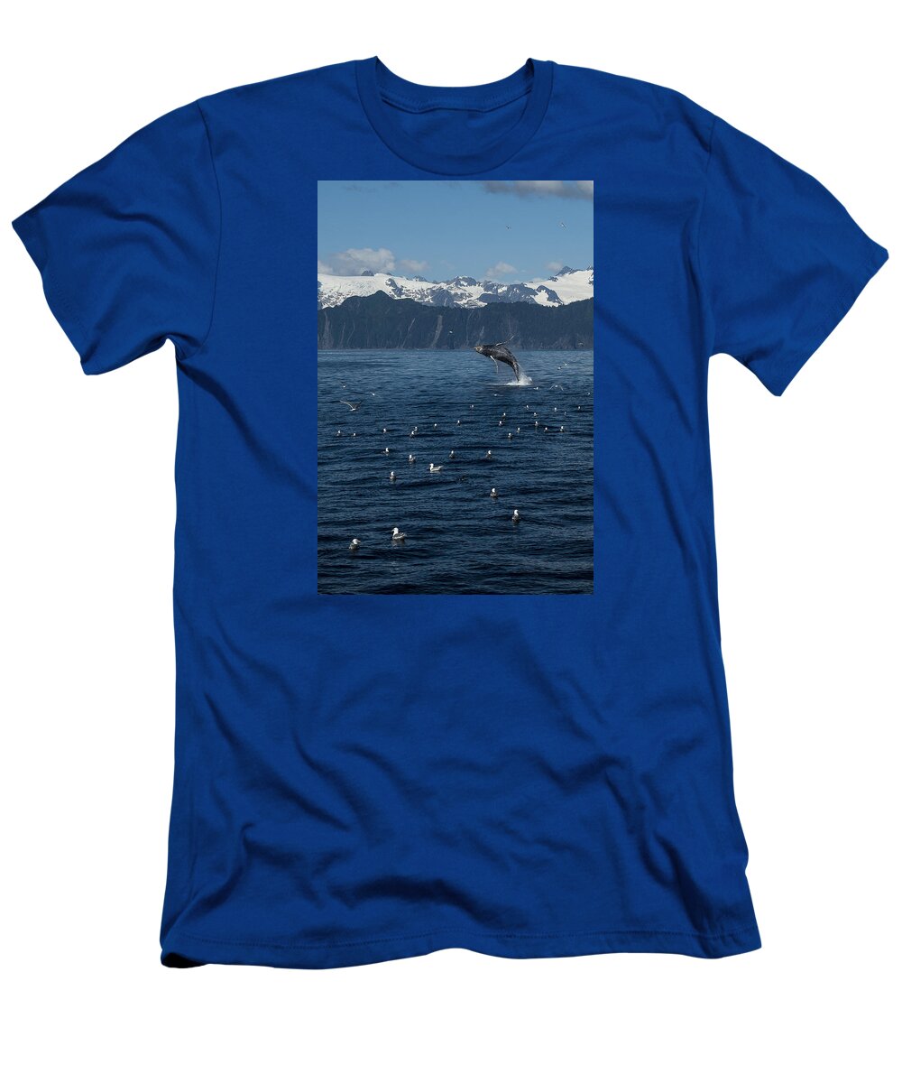 Alaska T-Shirt featuring the photograph Humpback Whale Breach 3.1. mp by Ian Johnson