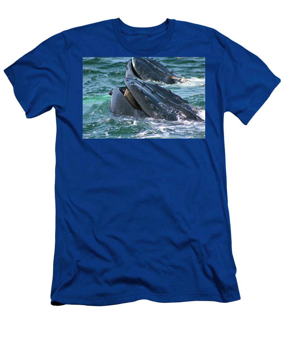 Humpback Whale Mouth T-Shirt featuring the photograph Humpback Whale Mouth by Linda Sannuti