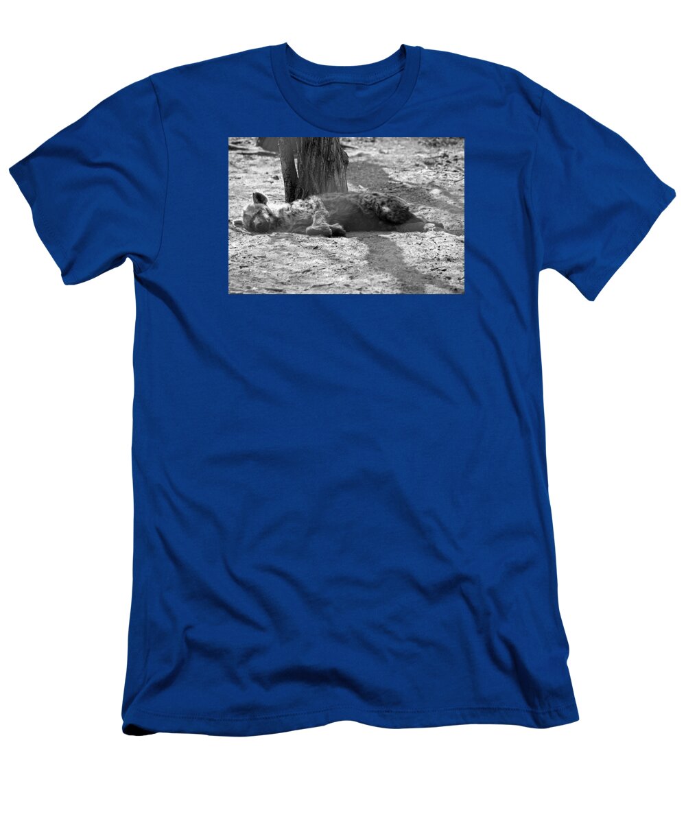 Hyena T-Shirt featuring the photograph Hyena by Parushka Moodley