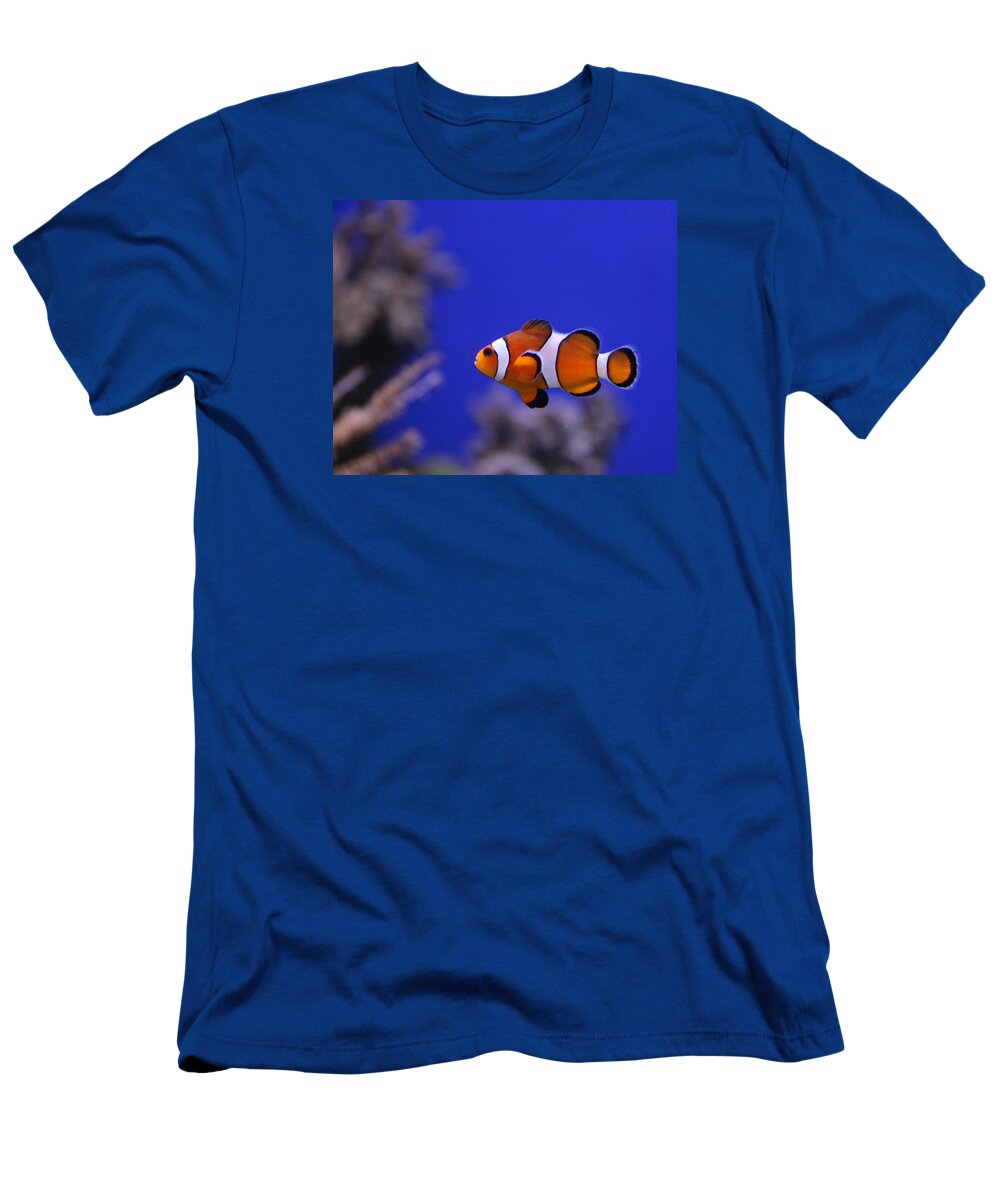 Nemo T-Shirt featuring the photograph I Found Him by George Jones