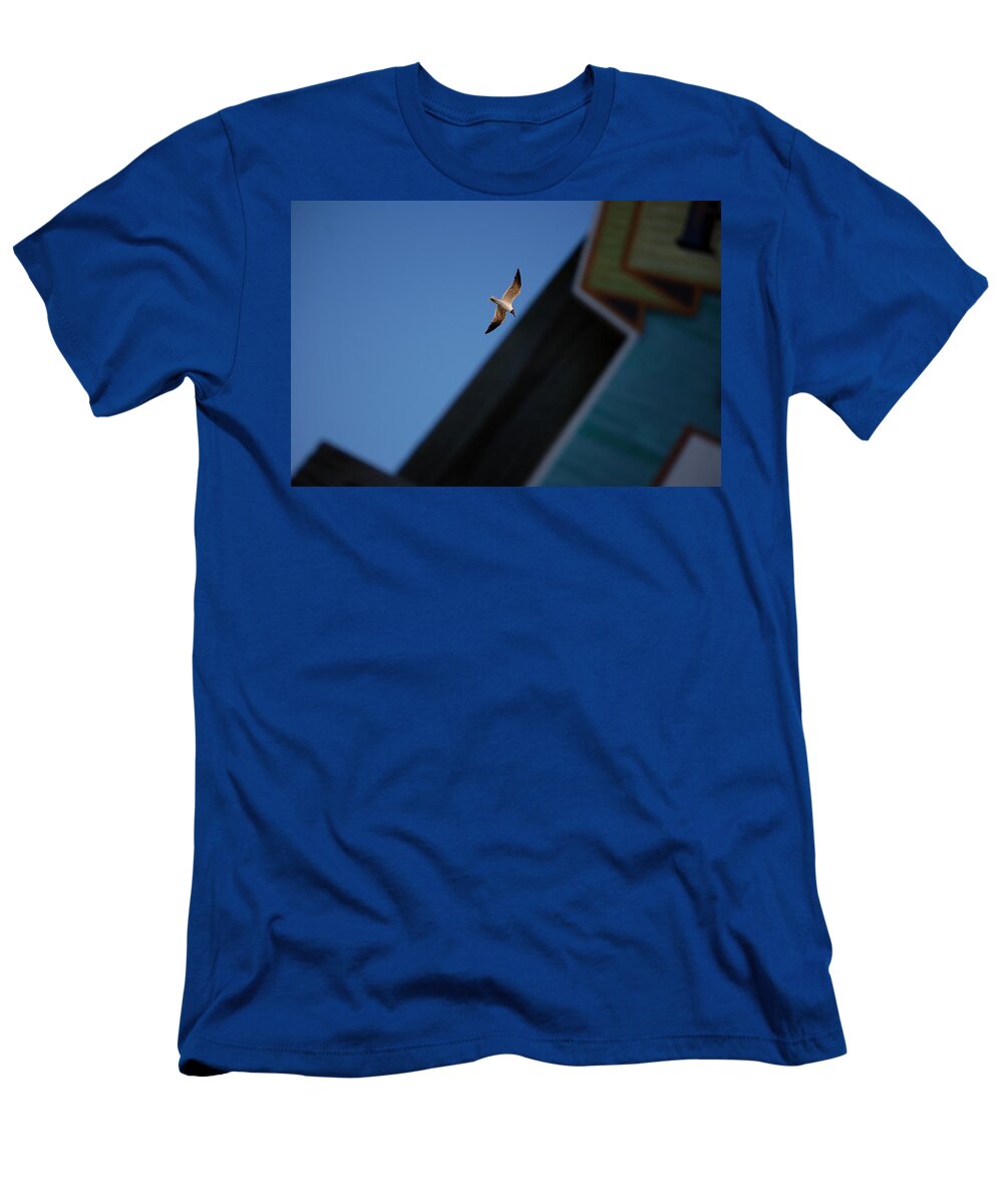 Seagull T-Shirt featuring the photograph In Flight by Robert Meanor