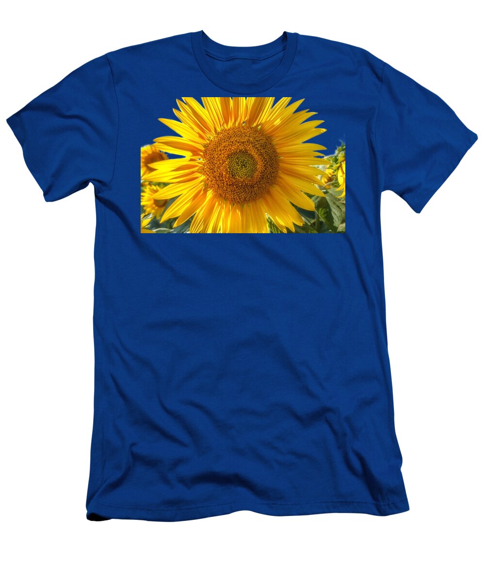 Colby Farm T-Shirt featuring the photograph In Your Face Sunny by Sylvia J Zarco