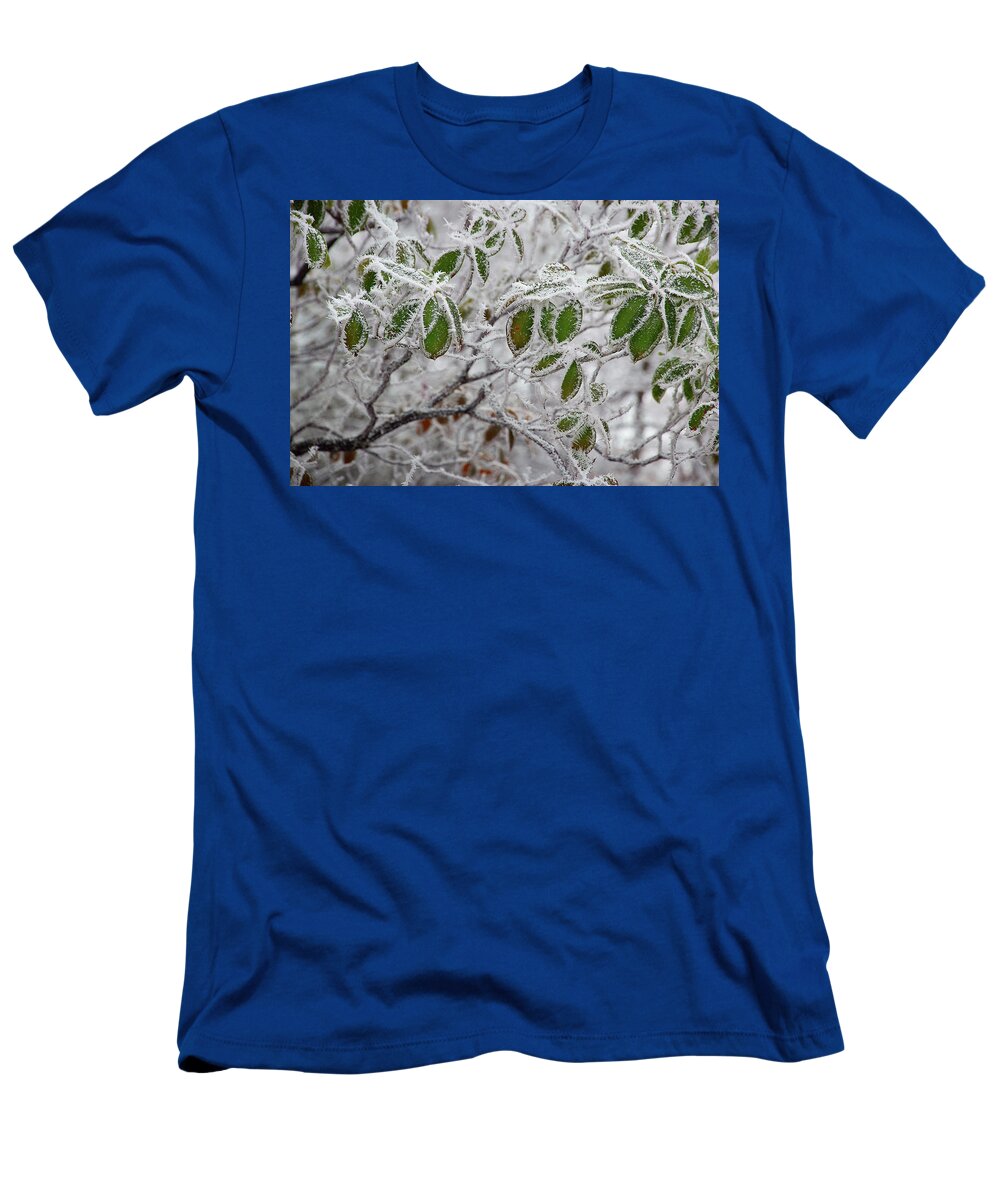 Frost T-Shirt featuring the photograph It's Cold Outside by Mike Eingle
