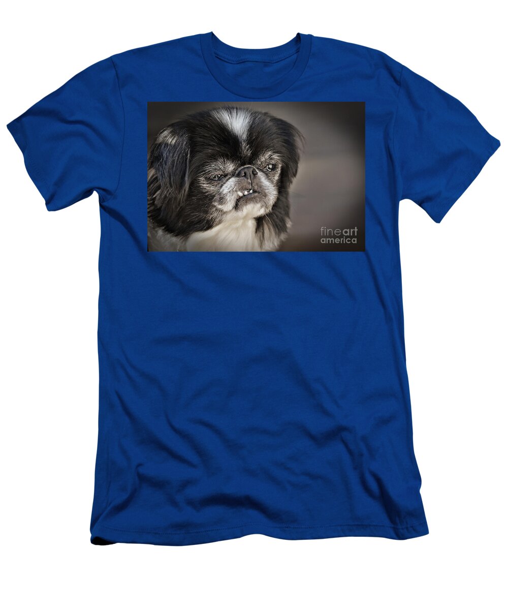 Japanese Chins T-Shirt featuring the photograph Japanese Chin Doggie Portrait by Jim Fitzpatrick