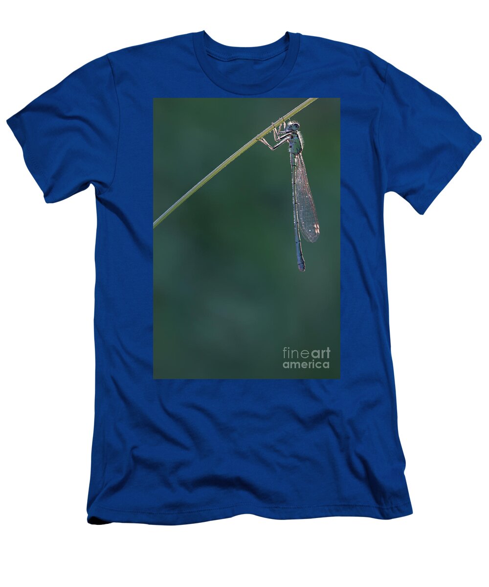 Dragonfly T-Shirt featuring the photograph Just relax by Jana Behr