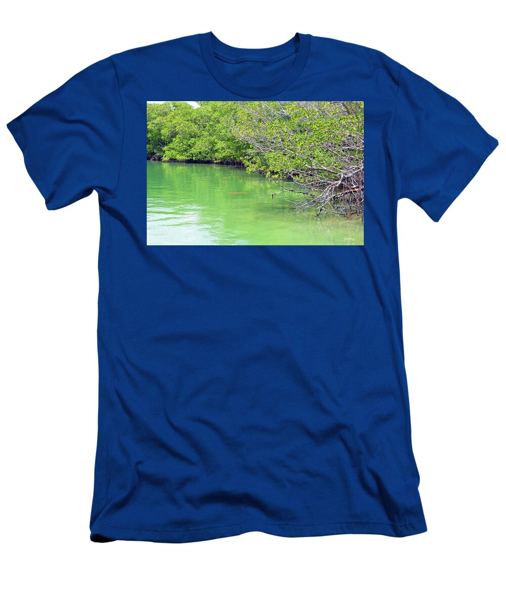 Delray T-Shirt featuring the photograph Key Biscayne Mangroves by Ken Figurski